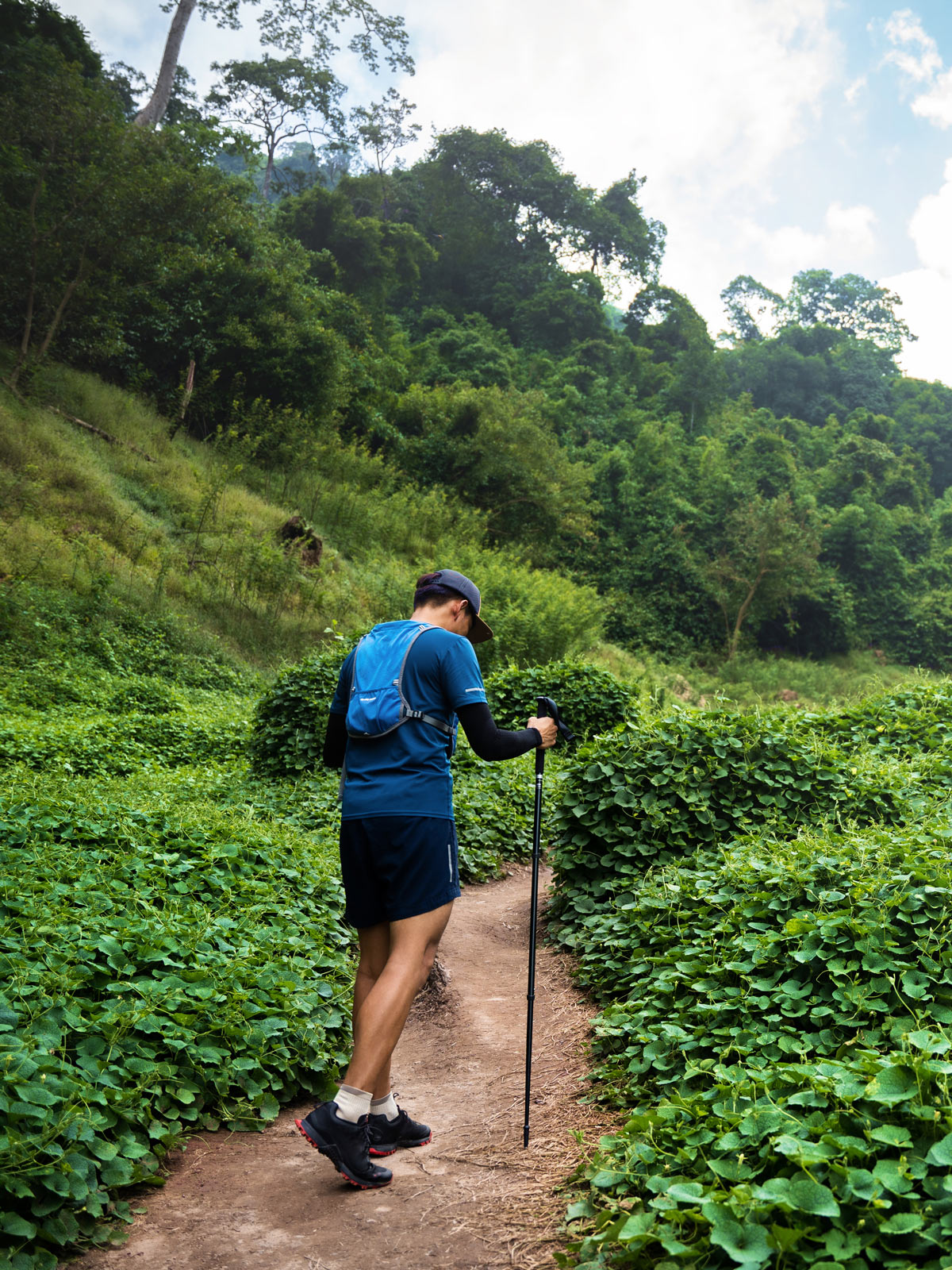 Hiker with walking stick on a hiking trail.